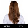 HASK HASK Color Care Color Protection Conditioner, with Rose Oil + Peach for all hair types, 355 mL