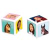 Top Trumps Match - The Crazy Cube Game - Spirit