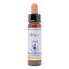 Healing Herbs/Flower Essence [Holly]