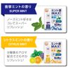 Nose Mint, Roll-on Type, Citrus Mint Scent