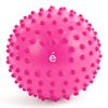 Sakura Trade 54173 Erugam Inner Thigh Training Lower Body Training Exercise Ball Slim Inner Thigh Gift with Pump