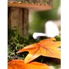 Beistle Fall Leaf Cutouts
