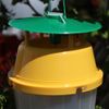 IPM Direct Moth Bucket Trap & Pheromone Lures (Cloth Moth)