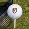GRAPHICS & MORE Sam Houston State University Novelty Golf Balls 3 Pack