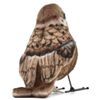 Sparrow BH7019