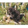 Folkmanis Beaver Hand Puppet Brown, 8"