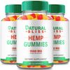 Natural Bliss Gummies - Official Formula (3 Pack)