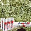Hydrographics Dip Kit Store - DipKitStore - Water Transfer Printing – MS-290 - Green Marble (Entry Level)