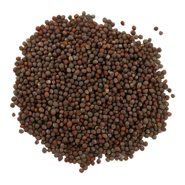 Buy Wellness MUSTARD SEEDS, Brown, USDA Certified Organic Brown Mustard Seeds Great Dijon Mustard Grade brown mustard 1 LB