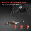 2x Downstream Left & Right O2 Oxygen Sensor for Ford F-150 2011 2012 2013 2014