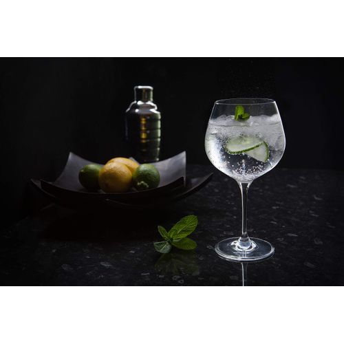 Dartington Crystal WB427/P Wine and Bar, Copa Gin and Tonic, 2 Pack, Crystal, 22 x 11.5 x 21.5 cm