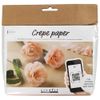 Crepe Carnations Craft Kit | Paper Flower Making | Makes 3