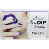CLEARANCE - FREE SHIP EzFlow TruDIP - 3 STEP ACRYLIC DIP SYSTEM - PRO KIT #66891