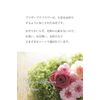 Preserved Flower Cafe Preserved Flowers Cecil (Pink Red)