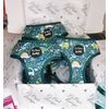 Dino Rawr Dog Harness M
