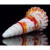 Dildo, Women's, Thick, Rainbow, Strong Suction Cup Included, Development, Length 8.9 inches (22.5 cm), Insertion Depth 7.9 inches (20 cm), Maximum Diameter 2.6 inches (6.5 cm), Uneven G Spot Stimulation, Expansion, Unisex, Soft Silicone, Fully Waterproof,