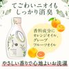 Sarasa Laundry Detergent Liquid Main Unit 23.7 oz (670 g)