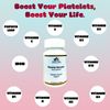 Platelets Support, vitaminas and Iron highly absorbent and papaya leaf Extract.