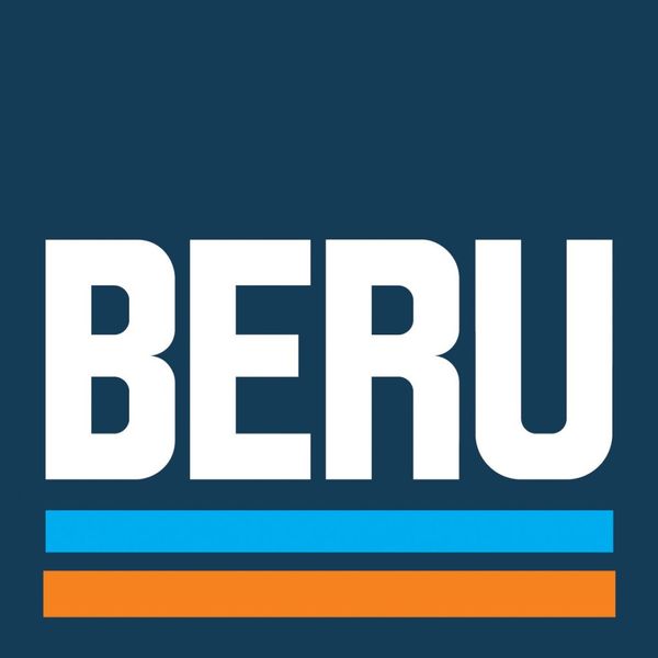Beru AG 0100226513 Glow Plug