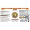 Hops (Humulus Lupulus) Liquid Extract 4x4 oz