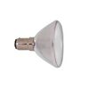Technical Precision Replacement for Philips 6439 Light Bulb
