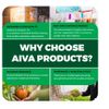 Aiva Handvo Flour