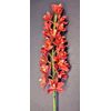 Artificial Cymbidium Orchid stem ORANGE RUST