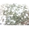 Rhinestone 77 Glass Rhinestone Crystal SS40 (8.5 mm) Approximately 140 Tablets