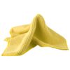 Spontex Microfibre Bathroom Kit (2 Cloths)