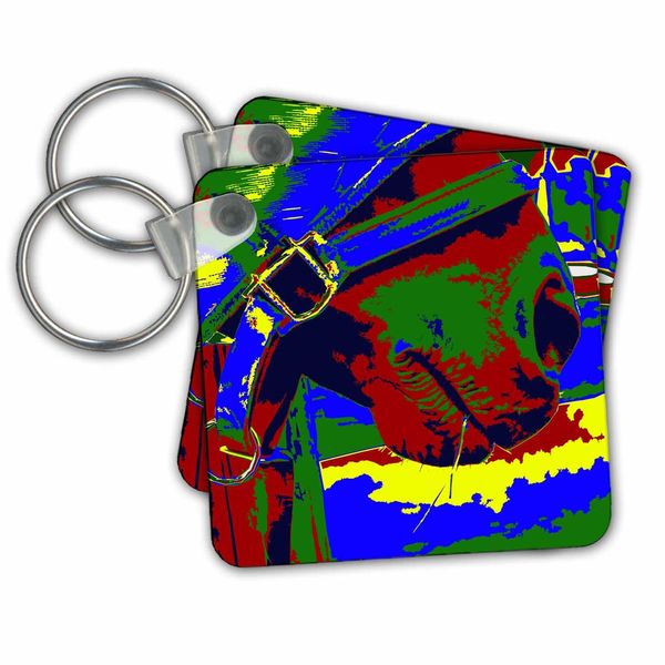 Key Chains Horse halter muzzle hay grass red blue graphic (kc-196155-3)
