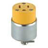 Leviton