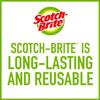 Scotch-Brite Stainless Steel Scrubber 84CC, 1.75 Oz