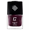 17 Magnetic Effect Nail Polish 060 8ml