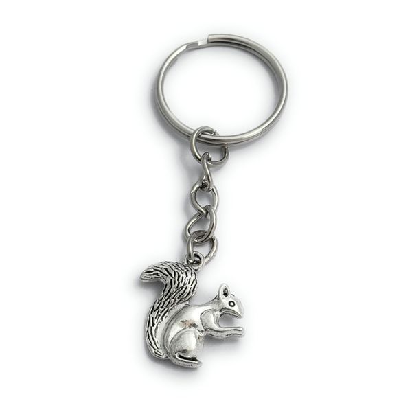 FizzyButton Gifts Squirrel Charm Keyring Key Ring with Silver Tone Keychain