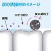 SUMIGAKI Japanese Charcoal Toothpaste