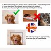 Assistance Dog UK Law Card AD7
