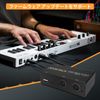 USB MIDI Host Box MIDI Interface to MIDI Converter Black (UMH-21)