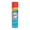 Windex Foam Clnr 19.7oz