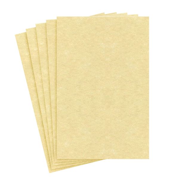 Ancient Gold Parchment Cardstock – Great for Certificates, Menus and Wedding Invitations | 65Lb Cover (176gsm) | 11 x 17” | 50 Sheets per Pack