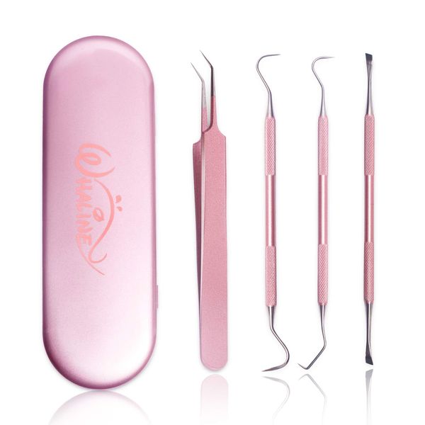 Whaline Weeding Vinyl Tools 4 Pieces Precision Stainless Steel Cricut Weeder Tool with Case, Vinyl Craft Paper Craft Tool Kit for Silhouettes Cameos, Lettering Scraper Hook Spatula Tweezers