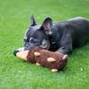 Rosewood Spike The Hedgehog Dog Toy
