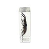 Stag Beetle Paperweight (2.9x1.6x1")