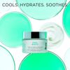 Dr. Brandt Cool Biotic Balancing Complex Prebiotic Redness Relief Cream 1.7oz