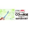 L APIS: Dental Toothbrush, Compact Head, Made in Japan, Long Handle, Flat Pen Grip, Regular 5 Pastel Assortment LA-211