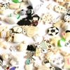 I Spy trinkets by Color (Black&White)