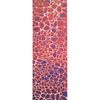 BLUNT Scooters Grip Tape - Neuron Red
