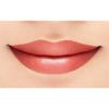 fermproof shine rouge 47