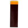 Leocrema Melanin SPF 30 Sunface, quick tanning with solar-powered activator, 50 ml