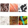 A4 Patterned Animal Print Card, Pack of 20 Sheets