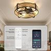Newsight 20 Inch Ceiling Fan Lights Modern Brown LED Ceiling Light kit + Remote